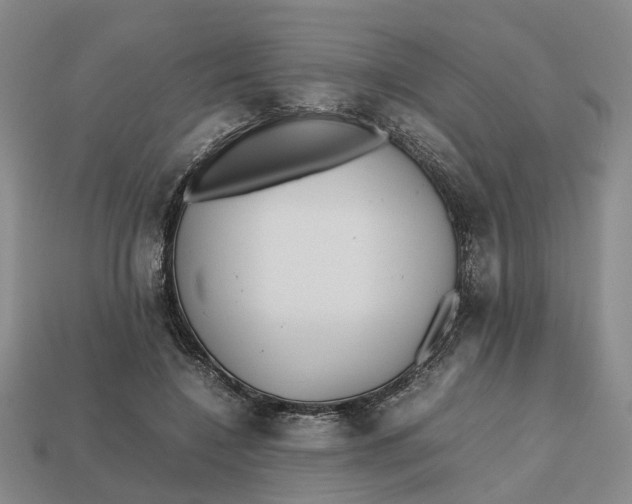 X0000112970548200909171320