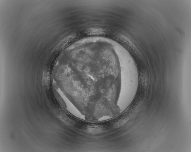 X0000112970549200909171320