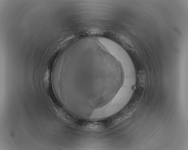 X0000112970550200909171320