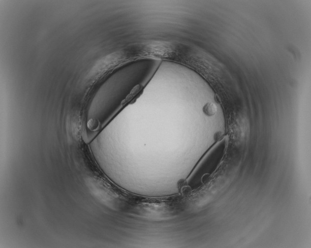 X0000112970552200909171320