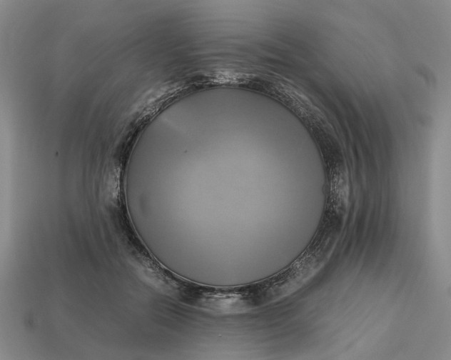 X0000112970554200909171320