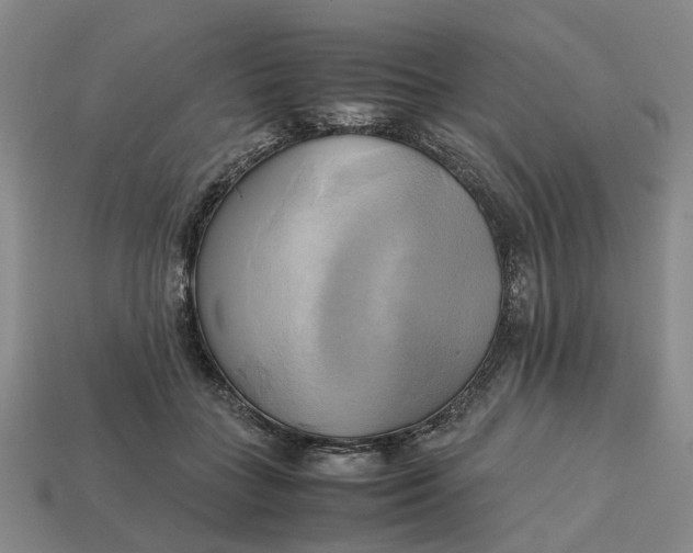 X0000112970555200909171320