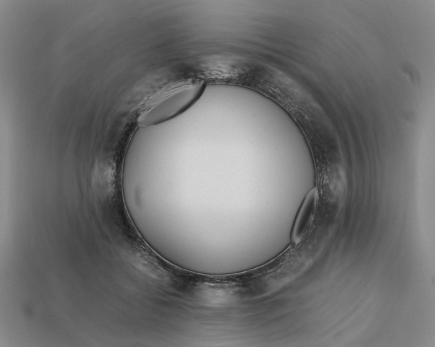 X0000112970556200909171320