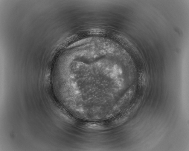 X0000112970557200909171320