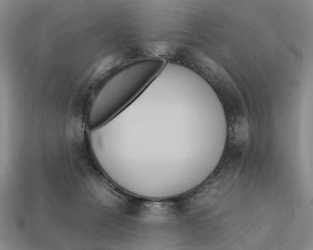 X0000112970558200909171320