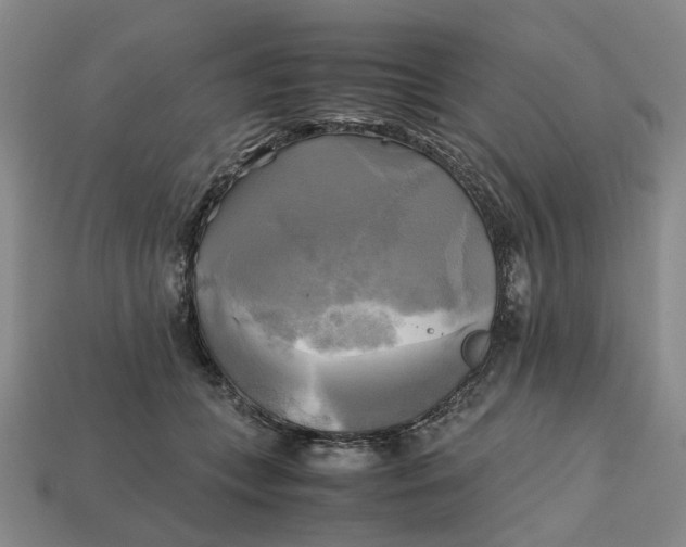 X0000112970559200909171320