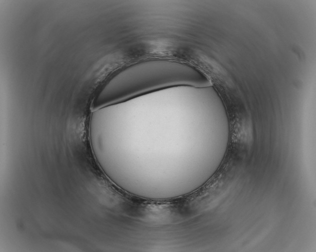 X0000112970560200909171320