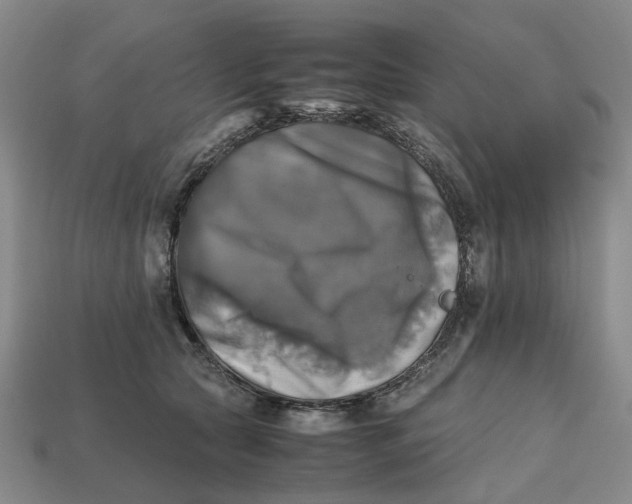 X0000112970561200909171320