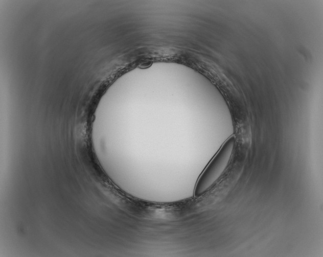 X0000112970564200909171320