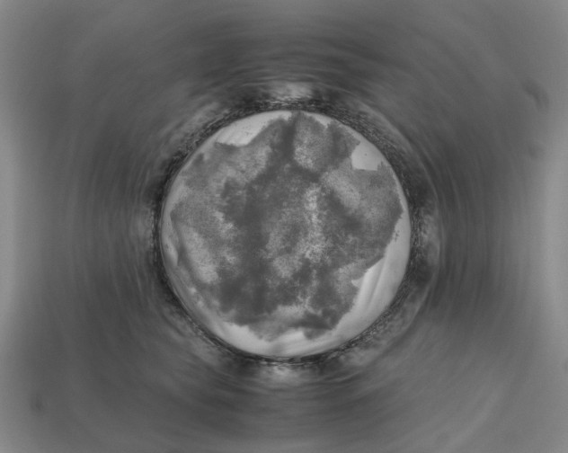 X0000112970565200909171320