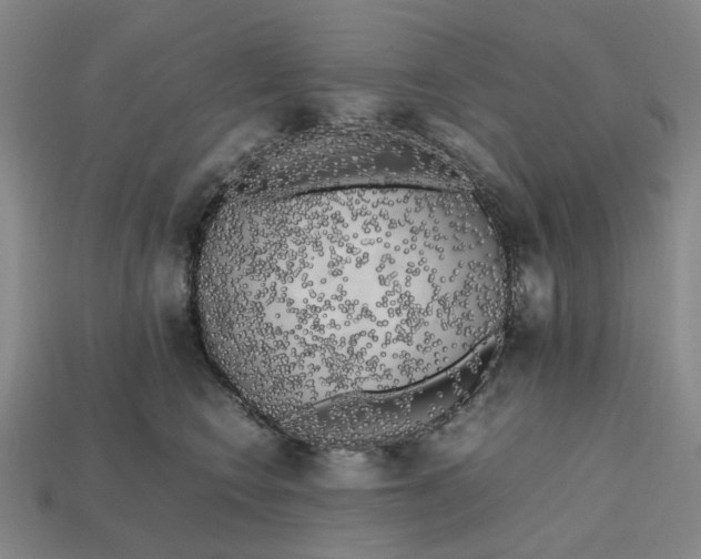 X0000112970566200909171320