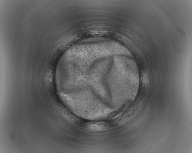 X0000112970567200909171320