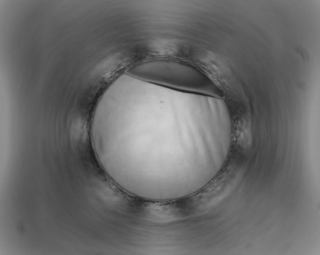 X0000112970568200909171320