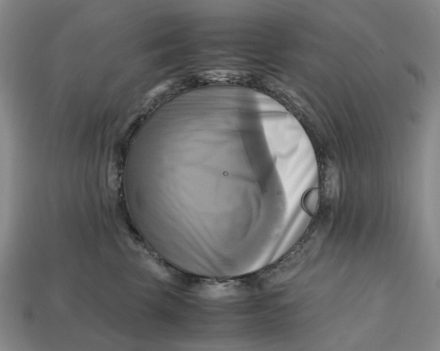 X0000112970569200909171320