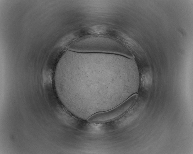 X0000112970570200909171320