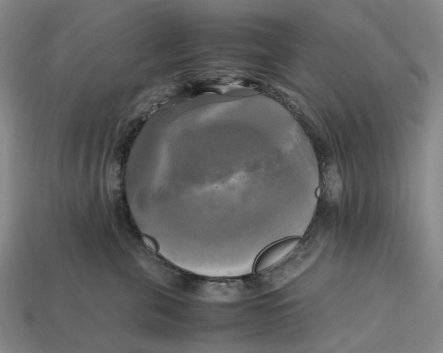 X0000112970571200909171321