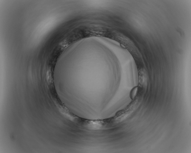 X0000112970573200909171321