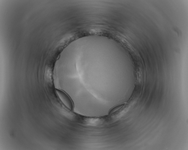 X0000112970575200909171321