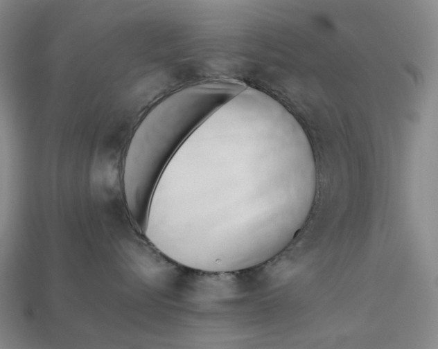 X0000112970576200909171321