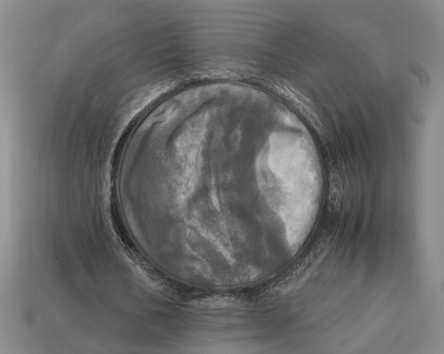 X0000112970578200909171320