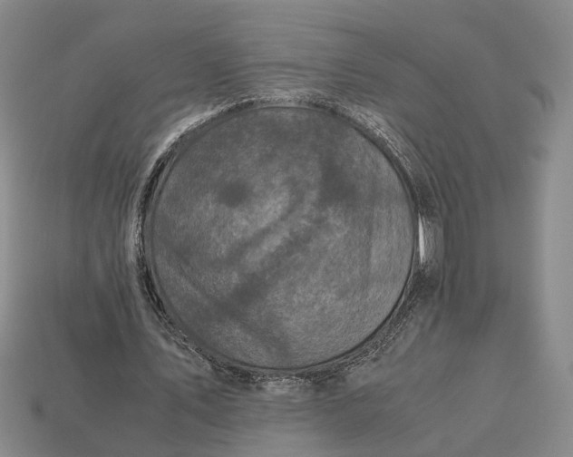 X0000112970579200909171320