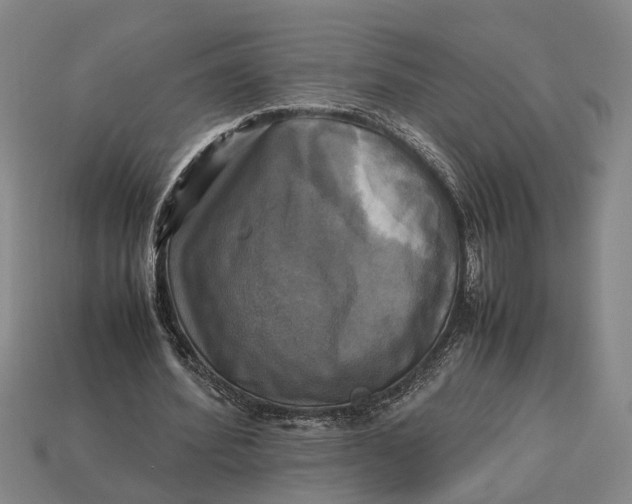 X0000112970580200909171320