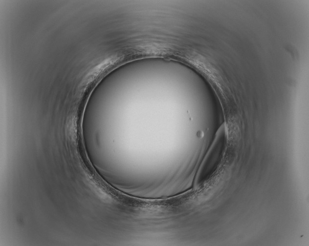 X0000112970581200909171320