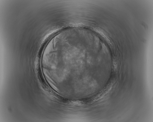 X0000112970583200909171320