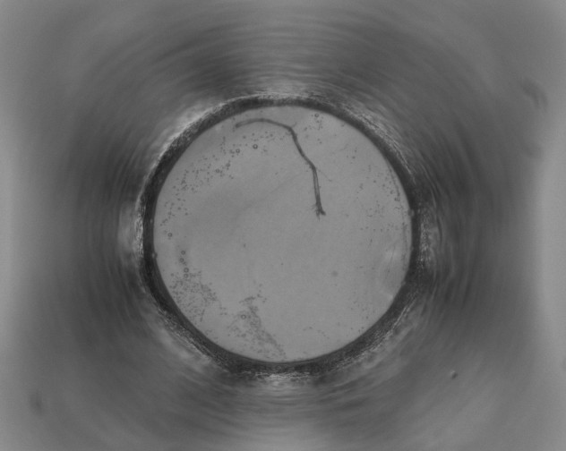 X0000112970584200909171320