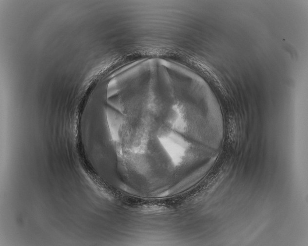 X0000112970586200909171320