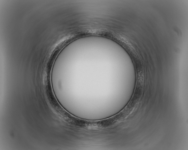 X0000112970587200909171320