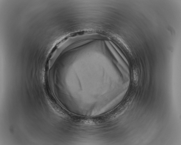 X0000112970588200909171320