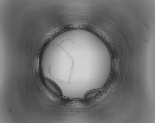 X0000112970589200909171320