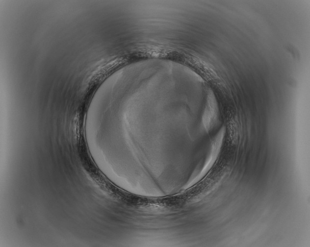 X0000112970594200909171320