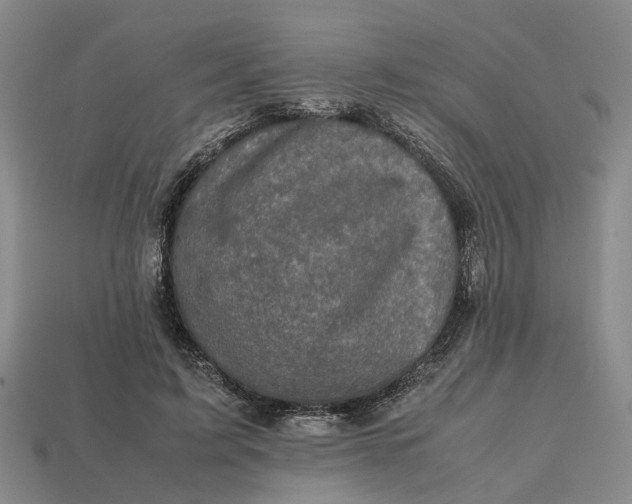 X0000112970595200909171320