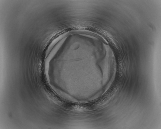 X0000112970596200909171320