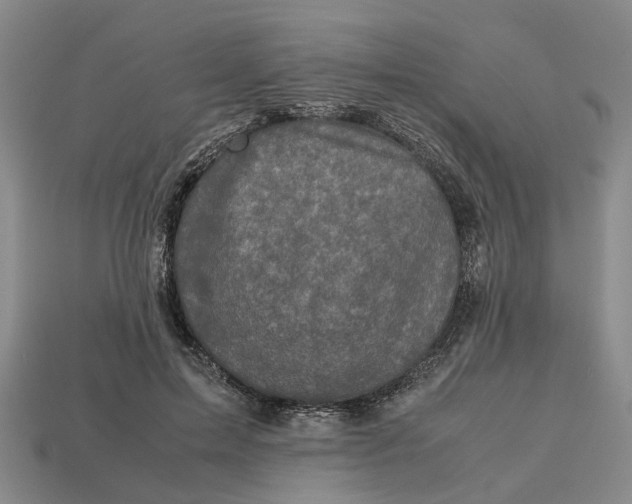 X0000112970599200909171320