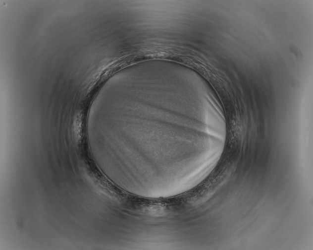 X0000112970600200909171320