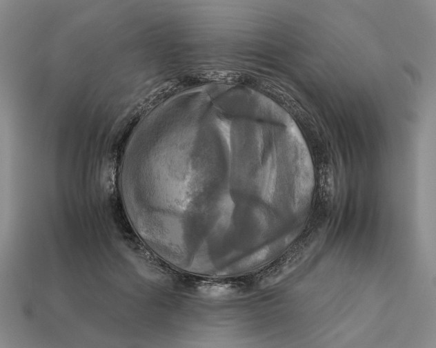 X0000112970602200909171320