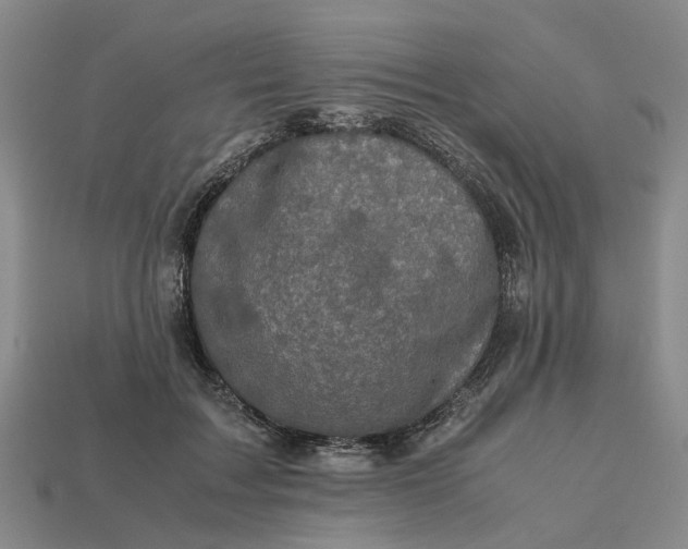 X0000112970603200909171320