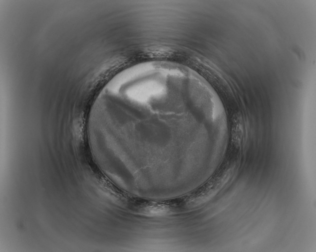 X0000112970604200909171320