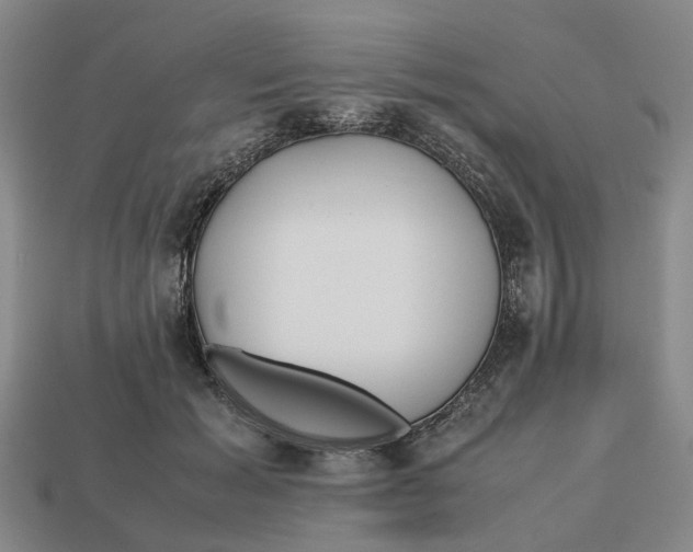 X0000112970605200909171320