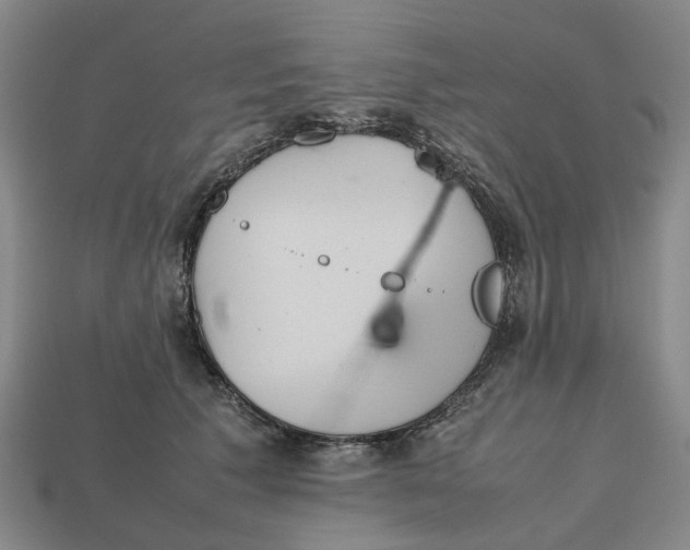 X0000112970609200909171320