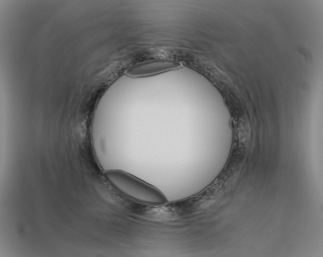 X0000112970611200909171320