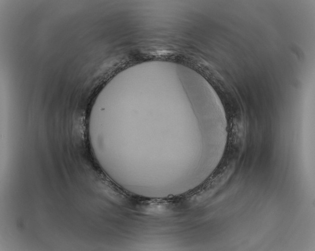 X0000112970612200909171320