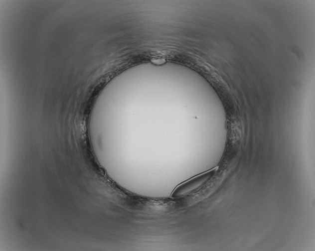 X0000112970613200909171319