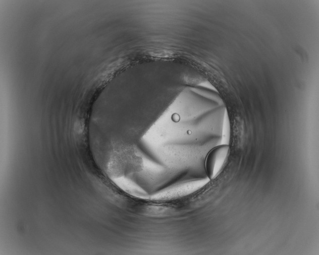 X0000112970614200909171319