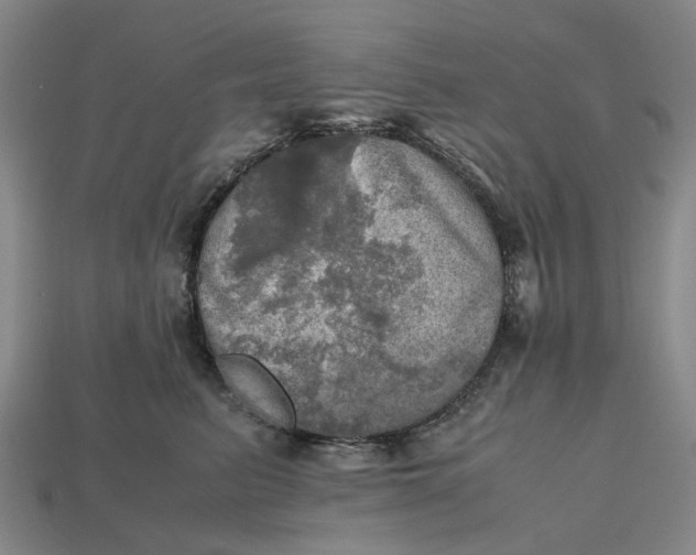 X0000112970615200909171319