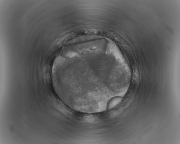 X0000112970616200909171319