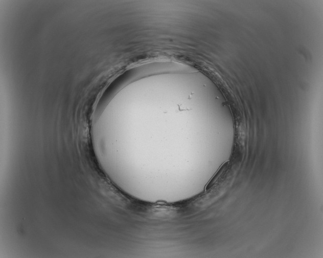 X0000112970617200909171319